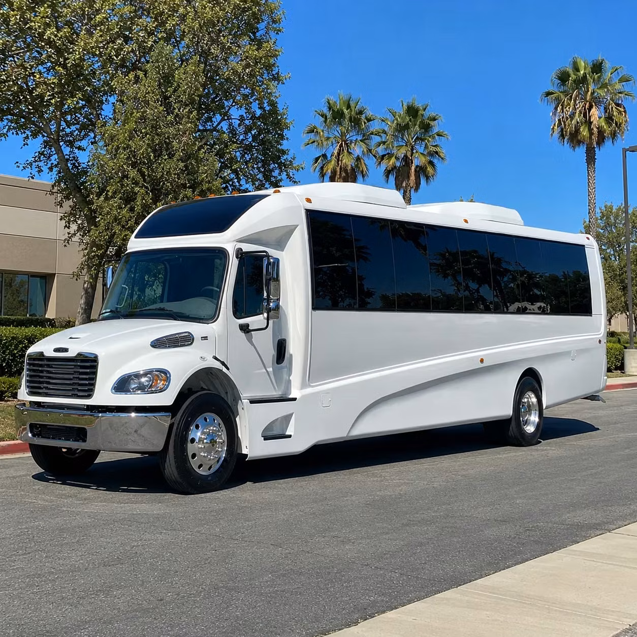 denver prom homecoming transportation services